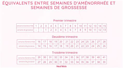 calculer sa grossesse exacte|calculer semaine aménorrhée de grossesse.